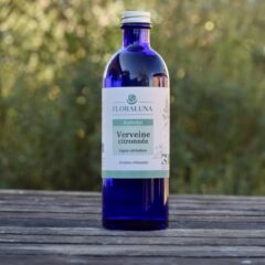 Verveine Citronnée