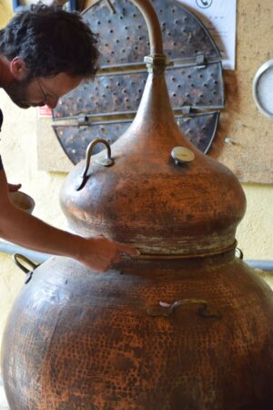 atelier de distillation d'huiles essentielles