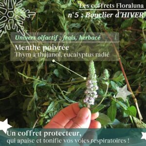 bouclier d'hiver - coffret