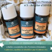 Bouclier d'Hiver - Coffret