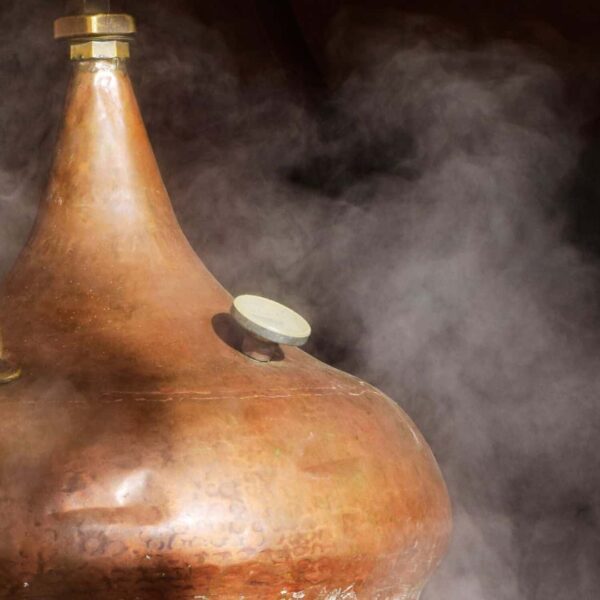 Initiation distillation & aromathérapie familiale