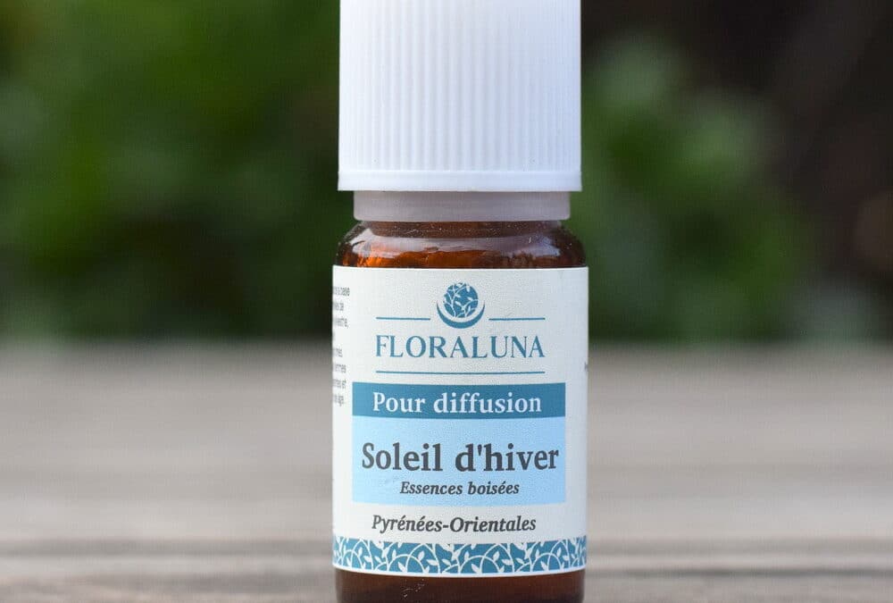 Soleil d’Hiver diffusion