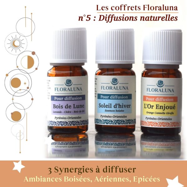 Coffret Diffusions naturelles pour enchanter vos intérieurs