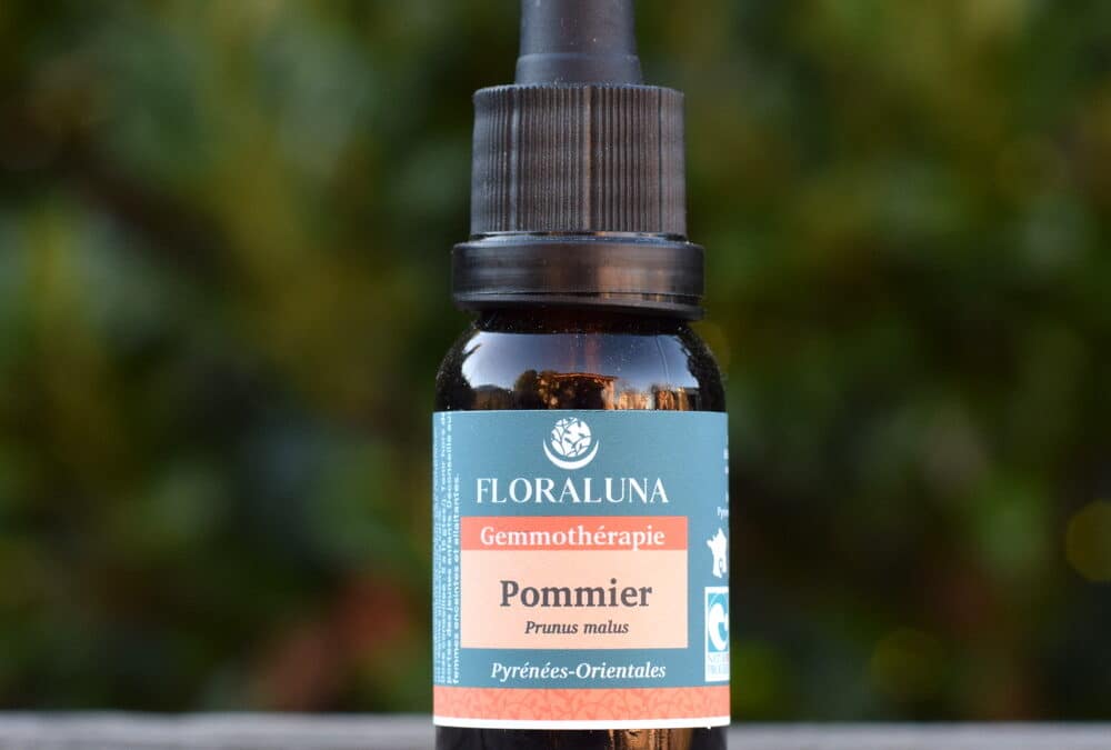 Pommier