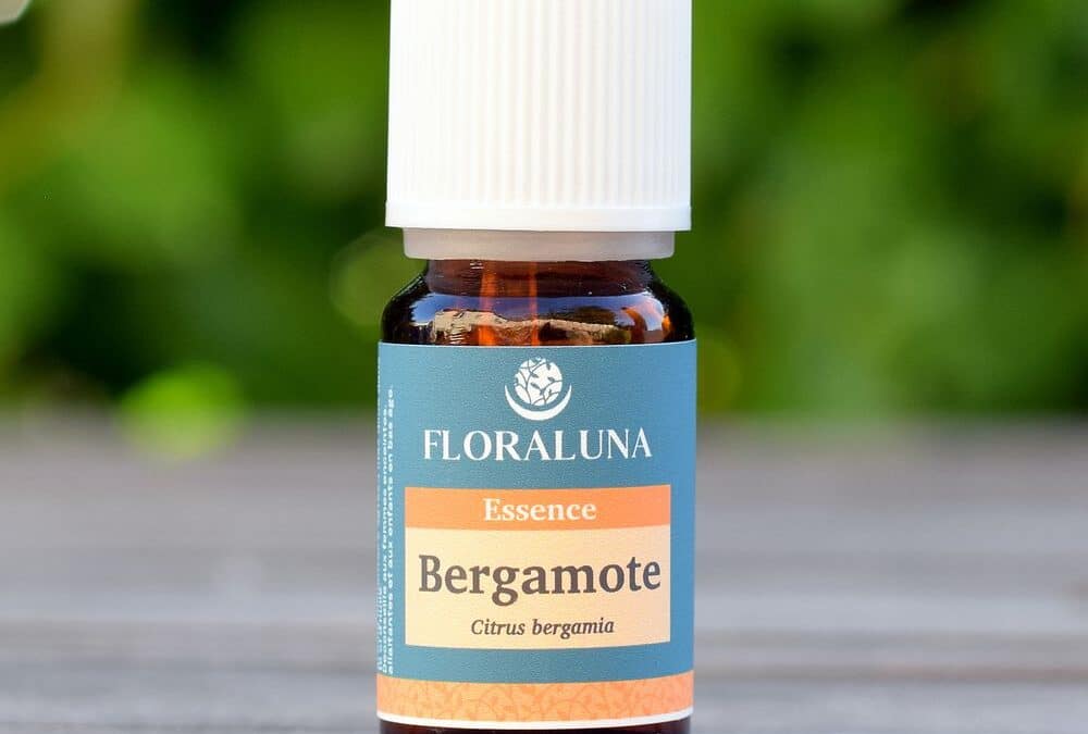 Bergamote