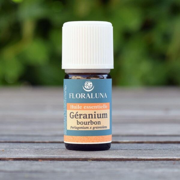 Geranium Bourbon