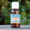 Lavande officinale France 30 mL