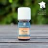 Thym à thymol
