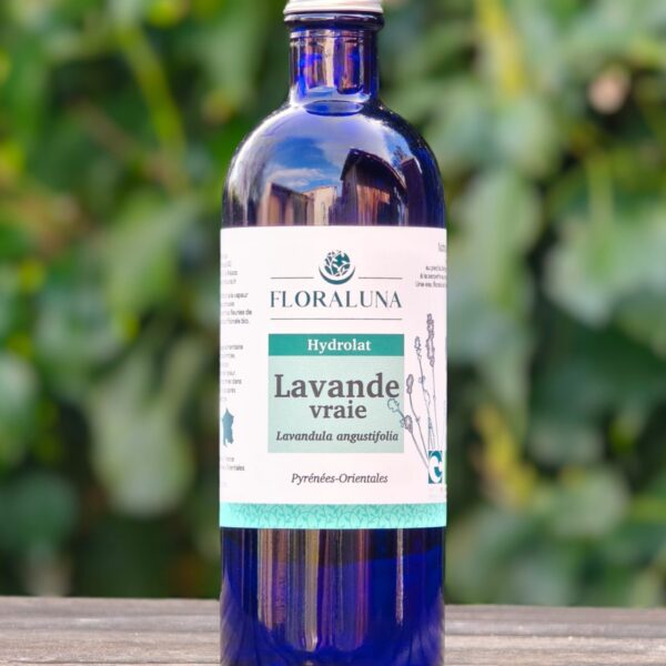 Lavande officinale