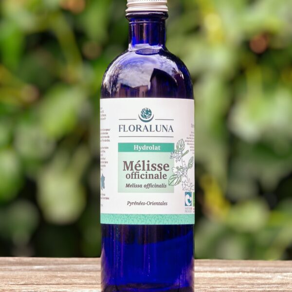 Mélisse officinale
