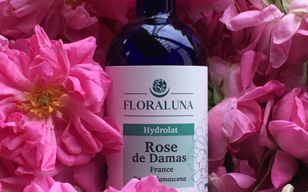 Rose de Damas Floraluna