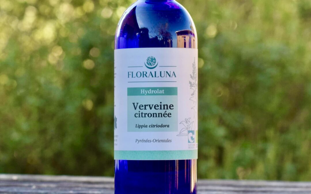 Verveine Citronnée