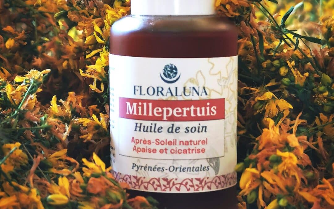 Millepertuis