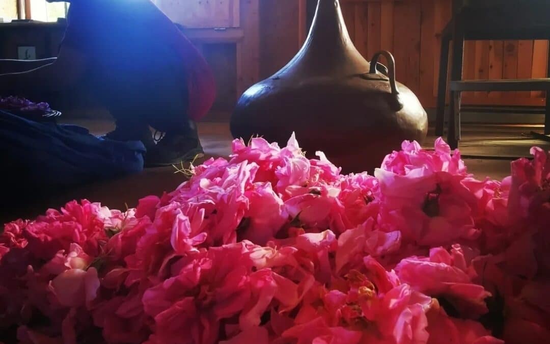 Aromathérapie & Distillation