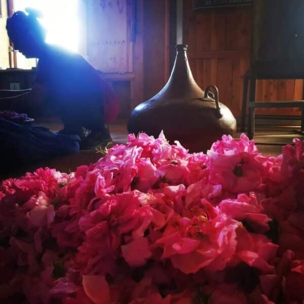 Formations 1 Formation Aromathérapie et distillation