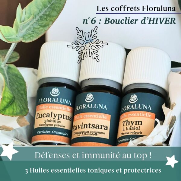 Coffret bouclier d'hiver, 3 huiles essentielles pour vous protéger durant le froid