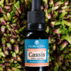 Cassis