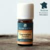 Verveine citronnée