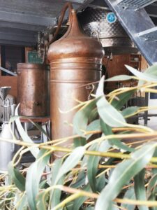 Distillerie Floraluna Los Masos
