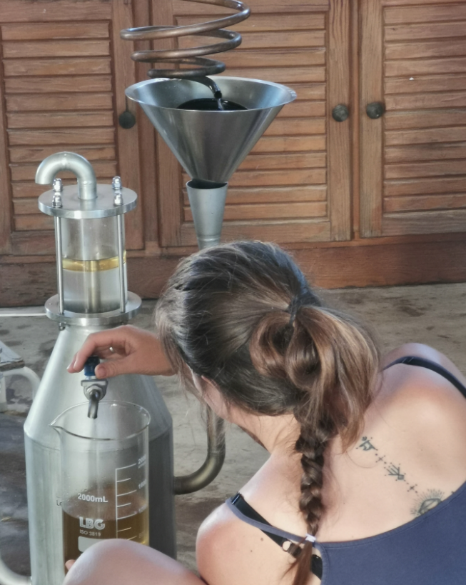 Flora essencier