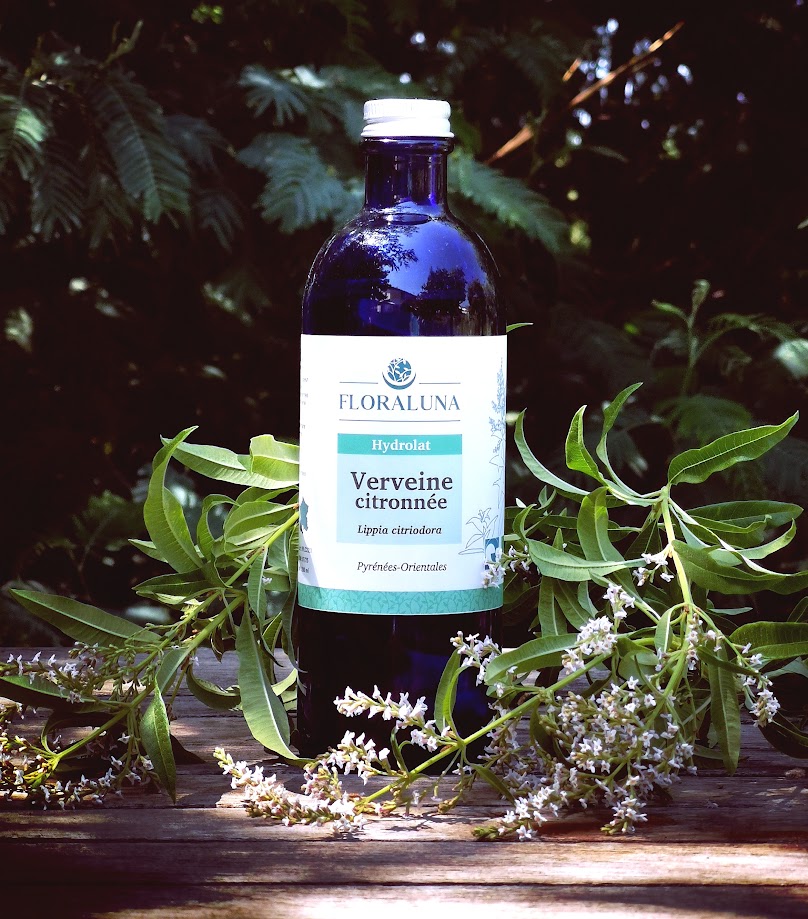 Hydrolat de verveine citronnée