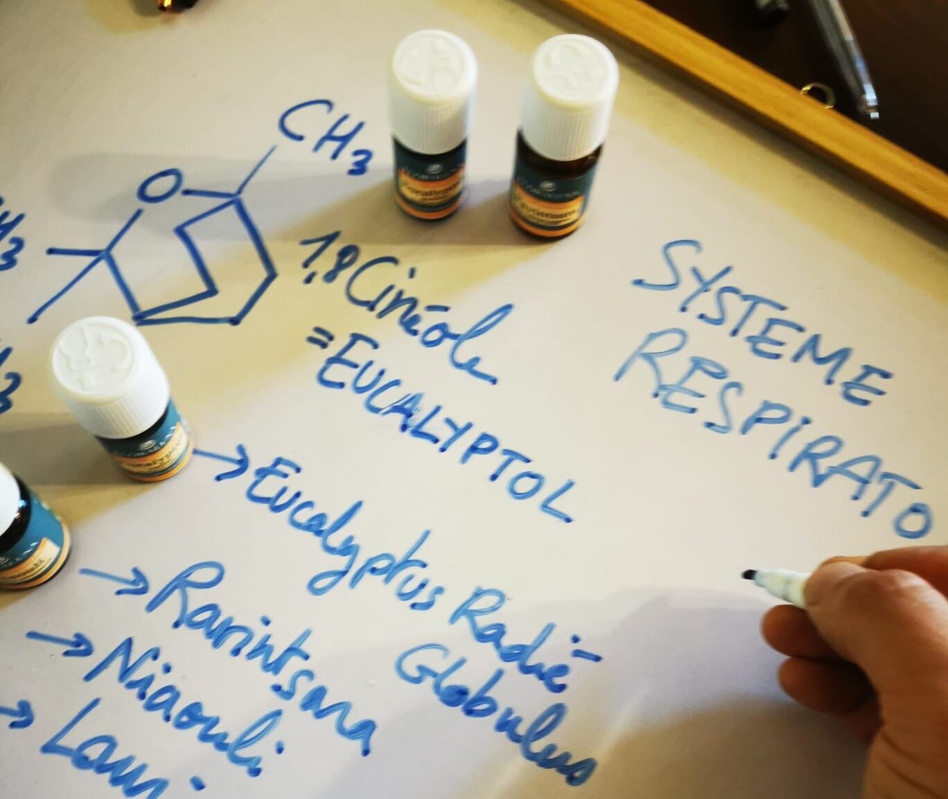 Formation Aromathérapie Floraluna niveau 2