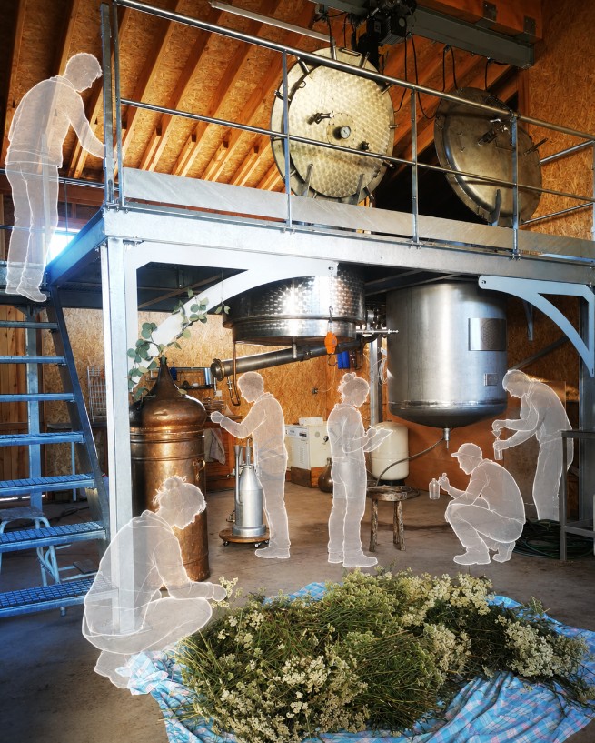 Ateliers et formations Floraluna