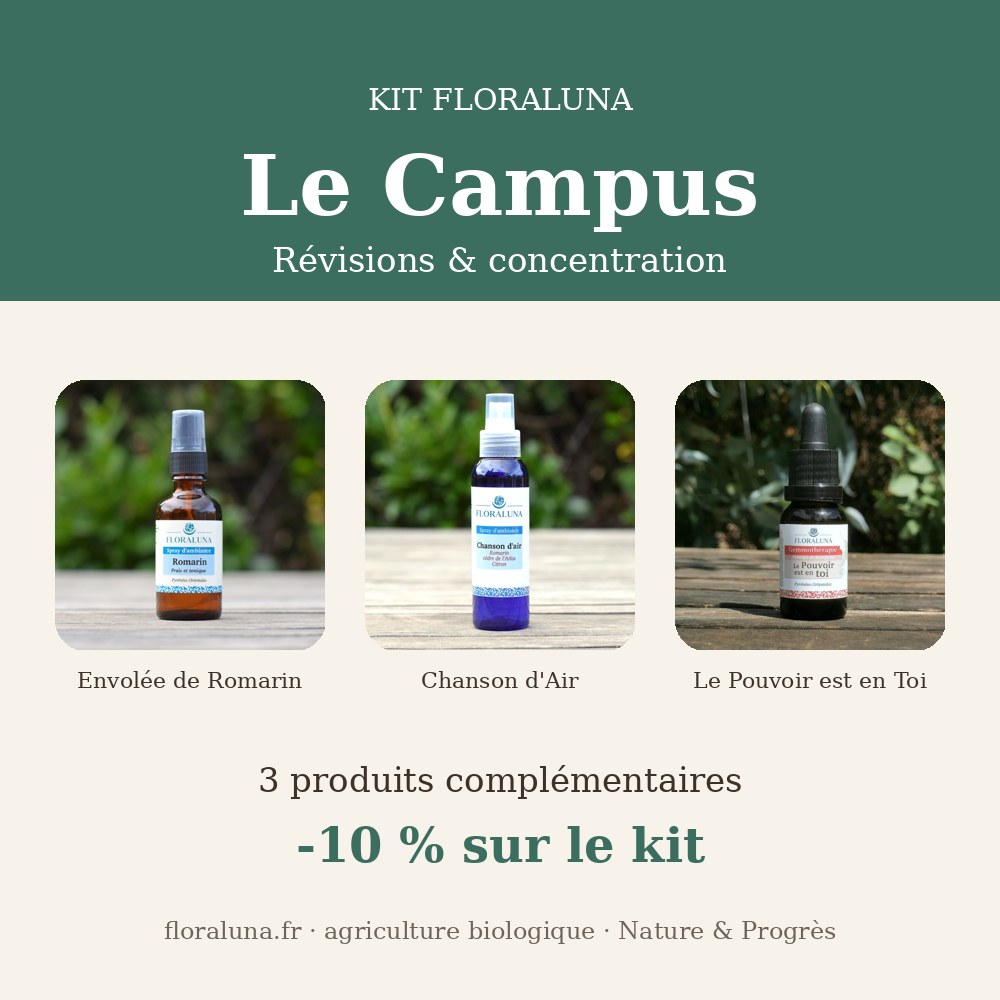 Kit Campus – Révisions & concentration 1 Kit Campus – Révisions & concentration