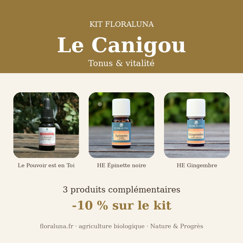 Kit Canigou – Tonus & vitalité 1 Kit Canigou – Tonus & vitalité