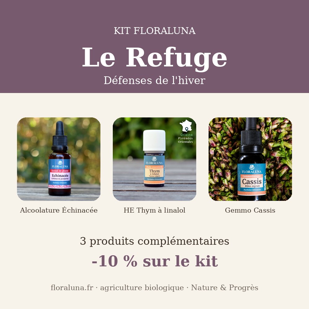 Kit Refuge – Défenses de l'hiver 1 Kit Refuge – Défenses de l'hiver
