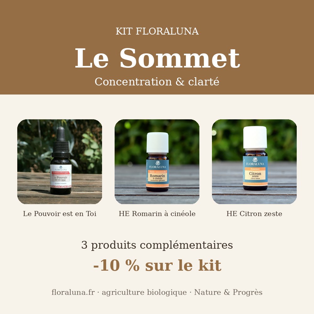 Kit Sommet – Concentration & clarté 1 Kit Sommet – Concentration & clarté