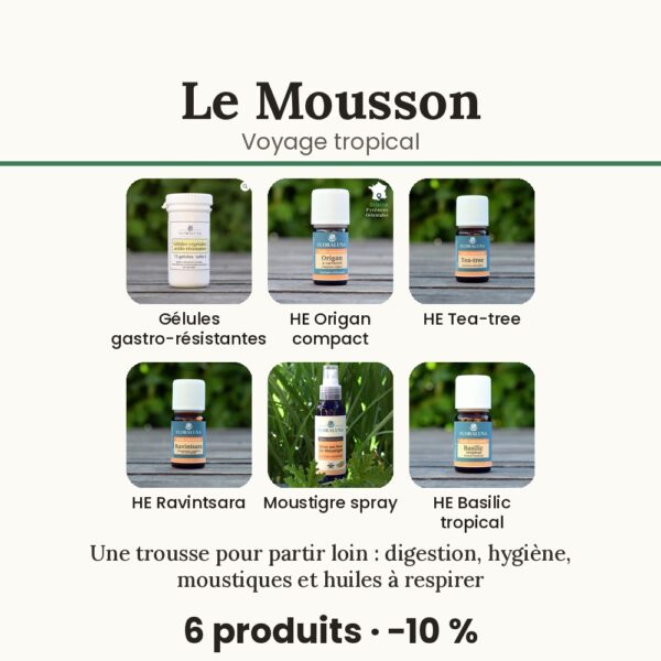 Kit Mousson – Voyage tropical