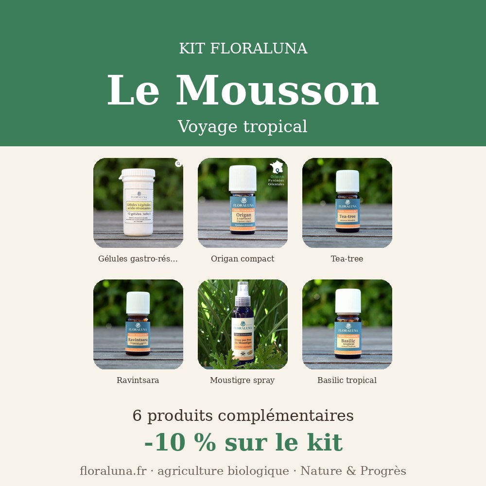 Kit Mousson – Voyage tropical 1 Kit Mousson – Voyage tropical